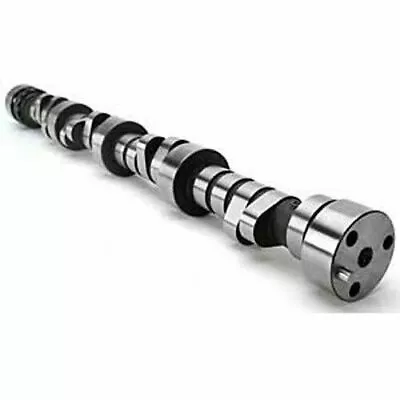 Ford 302 BOSS 5.0L Engine Cam Camshaft SOLID Lift 528/528-251/252 At 050 Mustang • $210.43