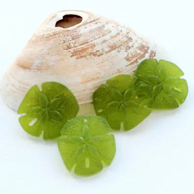 Green Sea Glass Sand Dollar Pendant Cultured With Drilled Hole 40mm - U089 • $8.25
