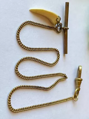 Vintage Antique Brass T-Bar Watch Chain 13.5  Unique Tooth Fob • $12