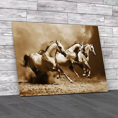 Running Galloping Horses Sepia Canvas Print Large Picture Wall Art • £14.95