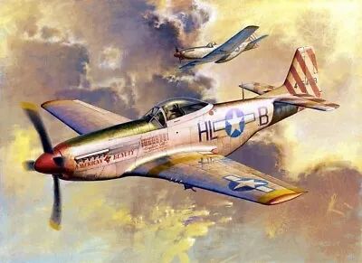 Trumpeter 02275 1:32 P-51D Mustang IV Fighter Aircraft Plastic Model Kit • $41.49