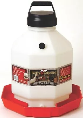 New Miller Pet Lodge Ppf5 5 Gallon Plastic Usa Poultry Chicken Waterer 0058073 • $32.95