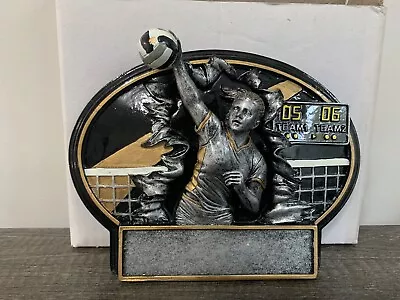 Girl’s Volleyball Trophy • $9