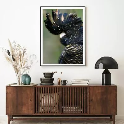 Black Bird Portrait Photograph Print Premium Poster High Quality Choose Sizes • $24.07