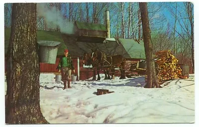 Maple Sugar Time In Vermont Postcard • $0.50