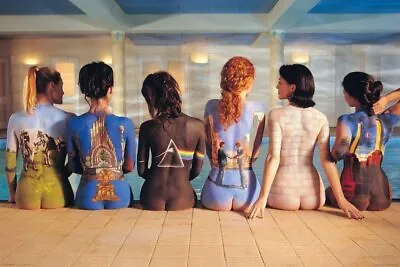 Pink Floyd Back Catalog 36-by-24 Inches • $13.49