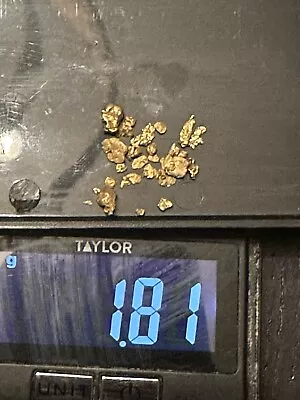 1.81 G Gram California Panned Placer Gold Nugget Lot Original Real - TCCCX • $145.50