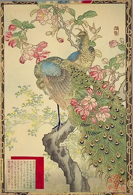 Crabapple Peafowls Vintage Kono Bairei Japanese Poster Botanical Print Art • £4.10