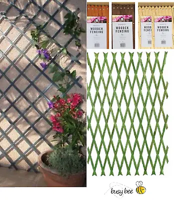 EXPANDING WOODEN WOOD GARDEN TRELLIS 6ftx 2ft / 1.8M X 60CM CHOOSE COLOUR • £4.23