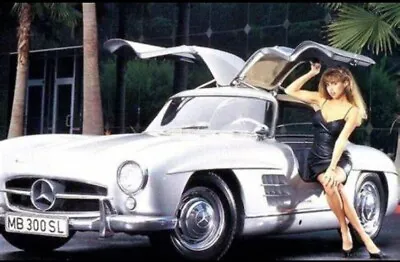 1987 Franklin Mint 1954 Mercedes Benz GULLWING 300 SL Silver 1:24 • $19.54