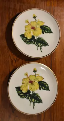 Set Of 2 Vintage 1945-1952 UCAGCO CHINA OCCUPIED JAPAN 9.25  Decorative Plates • $14.99