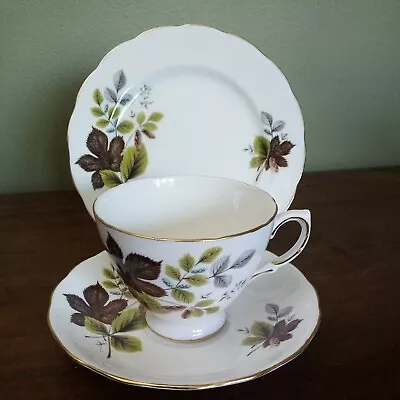 Vintage Queen Anne Tea Cup Saucer & Side Plate Trio Bone China Ridgway 8285 • £5.95