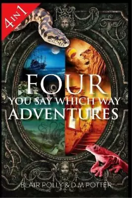 Four You Say Which Way Adventures: Pirate Island In The Magicians House Lost I • £5.74