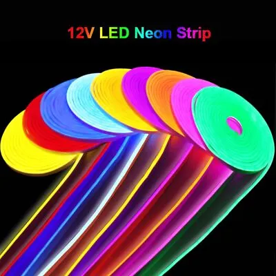 LED Strip Light Neon Lamp Flexible Waterproof Colorful Home Decoration DC12V • $15.99