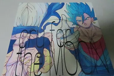 Dragon Ball Doujinshi Vegetto X Gogeta (B5 20pages) DAn-SHIKI Cry For The Moon • $49.99