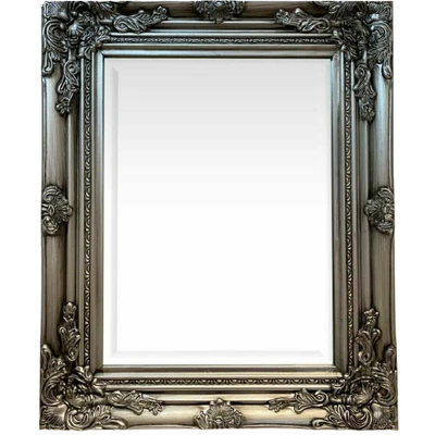 £25.90 • Buy Mirror Silver Ornate Shabby Chic Framed Wall Hanging Decorative Baroque Art 53cm
