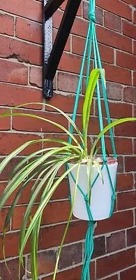 Hand Made Macrame Plant Hanger Flower Pot Holder Hanging Outdoor Green Rope Wall • £3.29