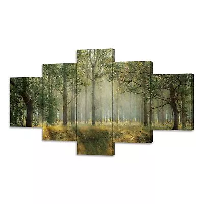 5 Piece Wall Art Forest Landscape Canvas Prints Nature Scenery Art Poster Pai... • $69.90