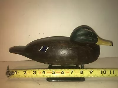 Juvenile Mallard Drake Duck Decoy Vintage Hollow Body • $120