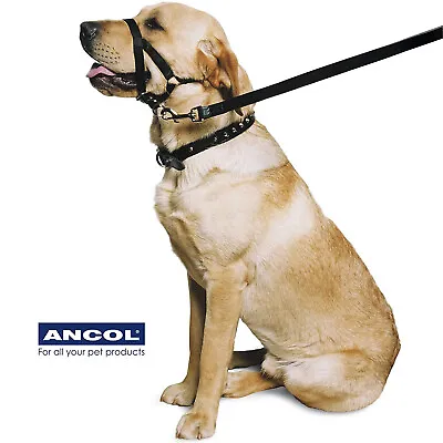 Ancol Dog Head Collar Halter Nylon Harness No Pull Halti Trainer Various Sizes • £7.99