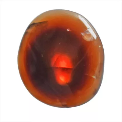 Natural Mexican Fire Agate Loose Gemstone Fancy Rough From Mexico 8 Cts • $43.69