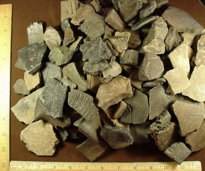 $39.99 • Buy Over 5 Pounds Of Fossilized Turtle Shell Pieces From South Florida