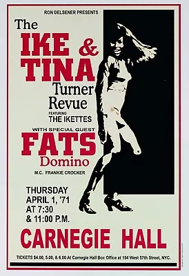 Tina Turner 13  X 19  Re-Print Music Concert Poster • $19.95