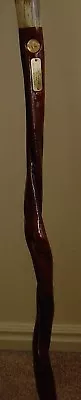 $139.95 • Buy Cane ~ Walking Stick From Bull Sex Organ Elk Horn Crown  3399