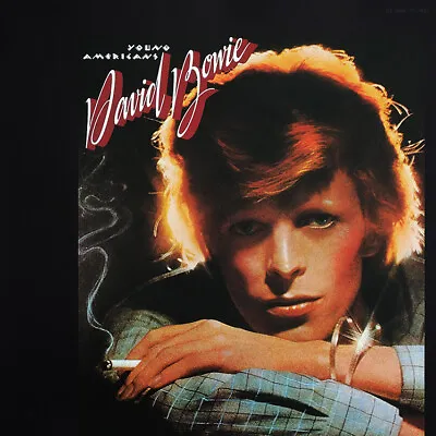 David Bowie Young Americans Lp Album Front Cover Poster Page R14 • £9.99