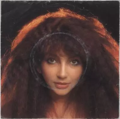 Kate Bush Hammer Horror 7  Vinyl Single Record German • £22.50