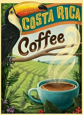 $8.95 • Buy Costa Rica Travel Poster *2x3 Fridge Magnet* Trip Foreign World Vacation Airline