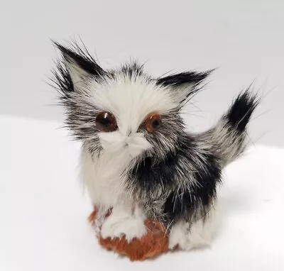 Vintage Real Fur Miniature Long Haired Persian Kitten Cat W/Glass Eyes • $19.99