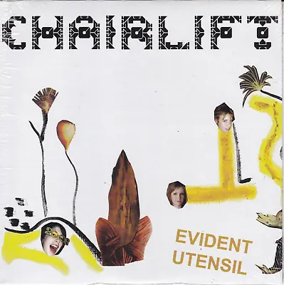 Evident Utensil By Chairlift (Promo 7  Vinyl Single 2009 Kanine P/S) MGMT NEW • $5.79