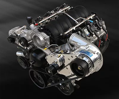 $4898 • Buy Procharger GM LSX Transplant P-1SC Supercharger Serpentine Tuner Kit EFI Carb