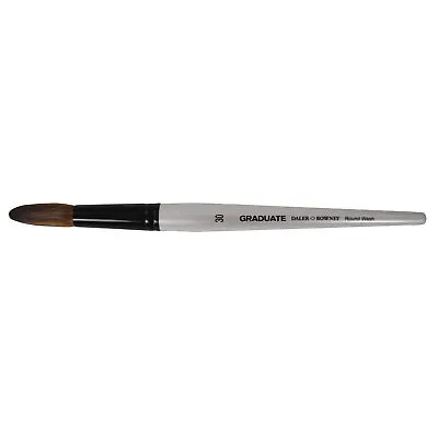 Daler Rowney Graduate Pony & Synthetic Round Wash Brush Size 30 • £7.86