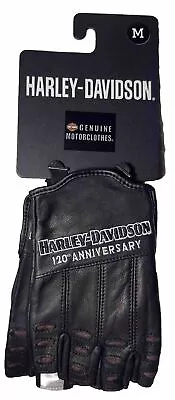 New Genuine Harley Davidson 97202-23vm Men's 120th True North Fl Gloves M • $69.98