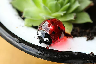 Glass Ladybird Red Quality Mini Small Gloss Deco Pot Ornament Terrarium Ladybug • £8.99