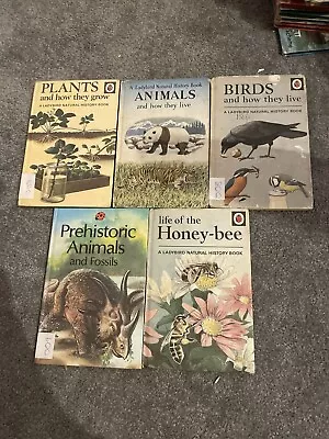 Vintage Ladybird Book Bundle Series 536 - 5 Books Birds Animals Plants Bee • £7.99