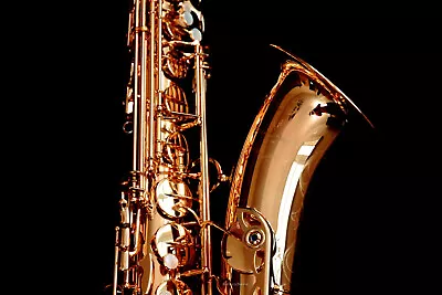 NEW Yanagisawa T-WO20 (TWO20) Bronze Elite Professional Tenor Saxophone • $5549