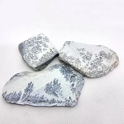 Steatite Dendritic Soapstone Lot Slab Cabbing Rough Lapidary #R-5513 • $63