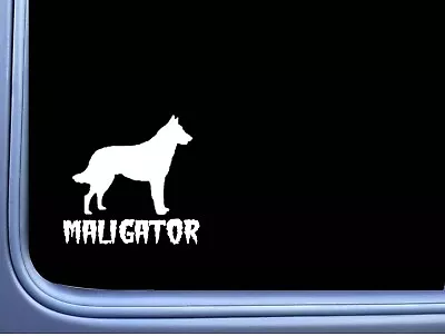 Maligator Belgian Malinois 6'' Inch Sticker Decal Dog Caution K9 • $5