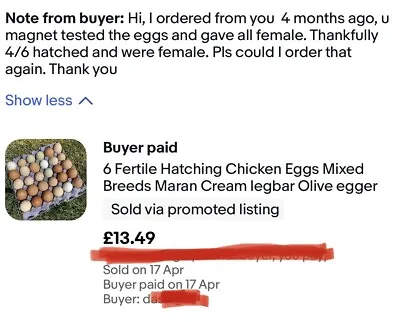 £13.49 • Buy 6 Fertile Hatching Chicken Eggs Mixed Breeds Maran Cream Legbar Olive Egger 