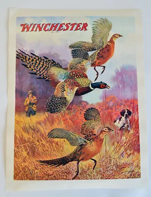 Winfield Galleries Poster  Winchester Pheasants On The Rise  (5553) • $50