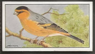 Hyde (bird Seed)-cage Birds 1930-#66- Canary Bullfinch Mule • £1.94