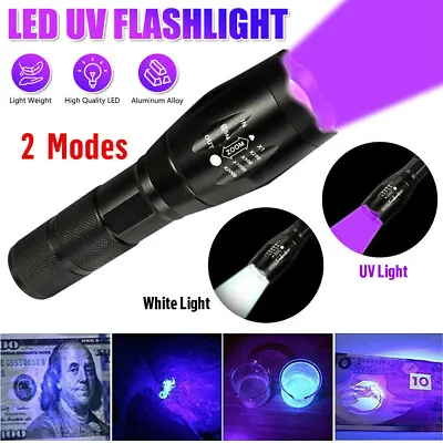 UV Light Flashlight USB Rechargeable Led Torch 395nm Zoomable Inspection Torch • $15.29