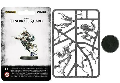 Tenebrael Shard Khainite Assassin Sorceress Dark Elves Elf Warhammer Old World • $59.99