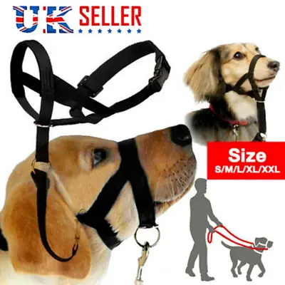 Halti Head Collar Stop Pulling On Lead No Pull Solution Dog Training Obedience • £7.49
