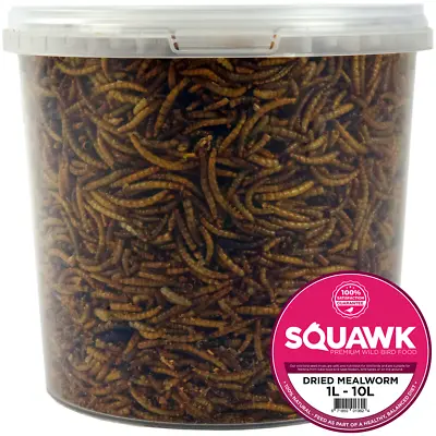 SQUAWK Dried Mealworms - Premium Quality Wild Bird Food Garden Snacks For Birds • £8.99