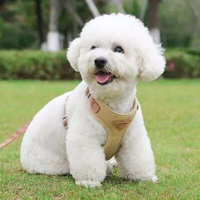 Soft Adjustable Pet Harnesses Mesh Dog Chest Straps  Walking • £6.95