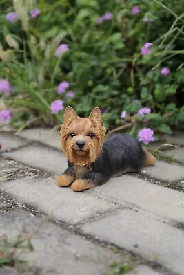 Yorkshire Terrier Dog Sitting/Lying Lifelike Garden Statue Garden Home Decor • $25.59